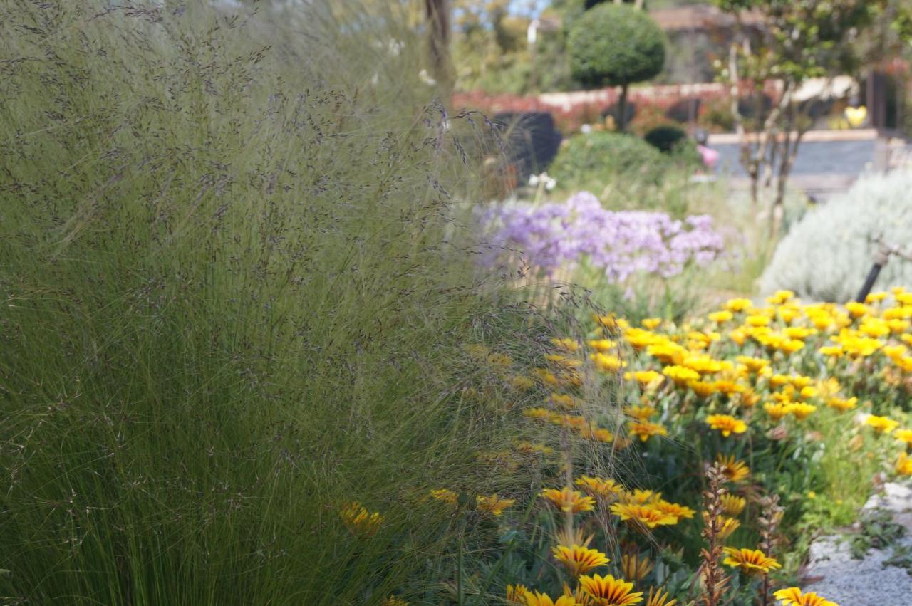 Les Jardins De Santa Giulia - Charmante Chambre D'Hote 포르토베쉬오 외부 사진